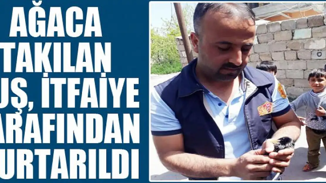 Ağaca takılan kuş, itfaiye tarafından kurtarıldı