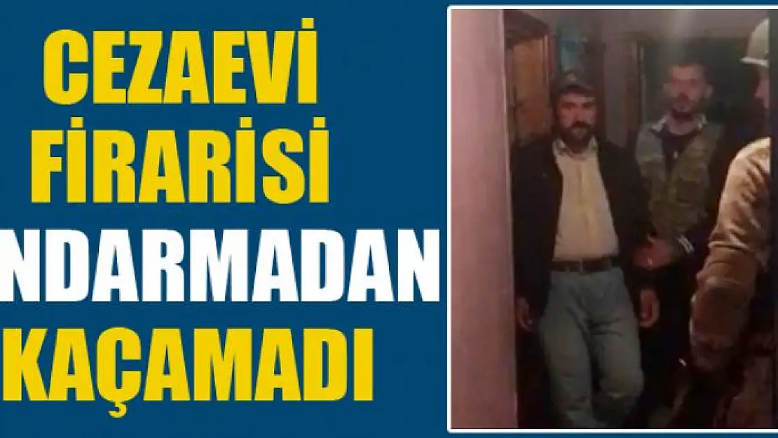 Cezaevi firarisi jandarmadan kaçamadı