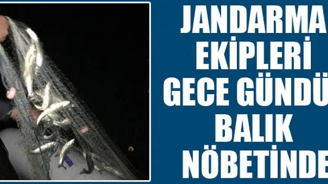 Jandarma ekipleri gece gündüz balık nöbetinde