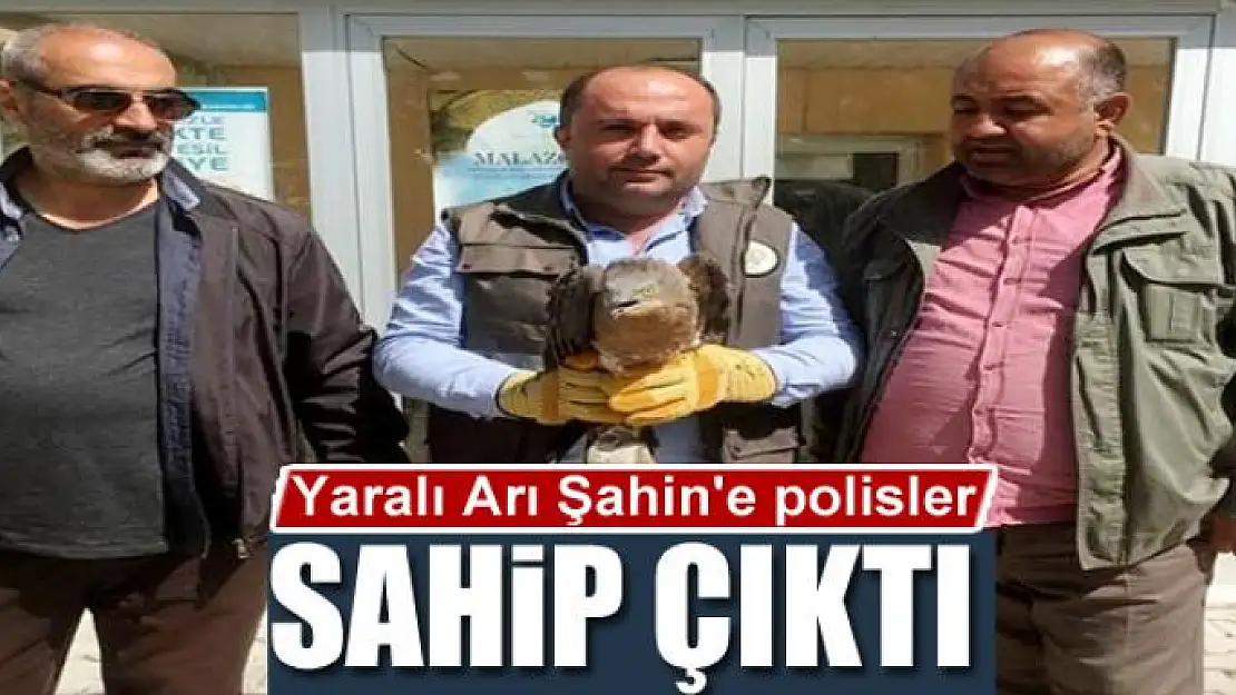 Yaralı Arı Şahin'e polisler sahip çıktı