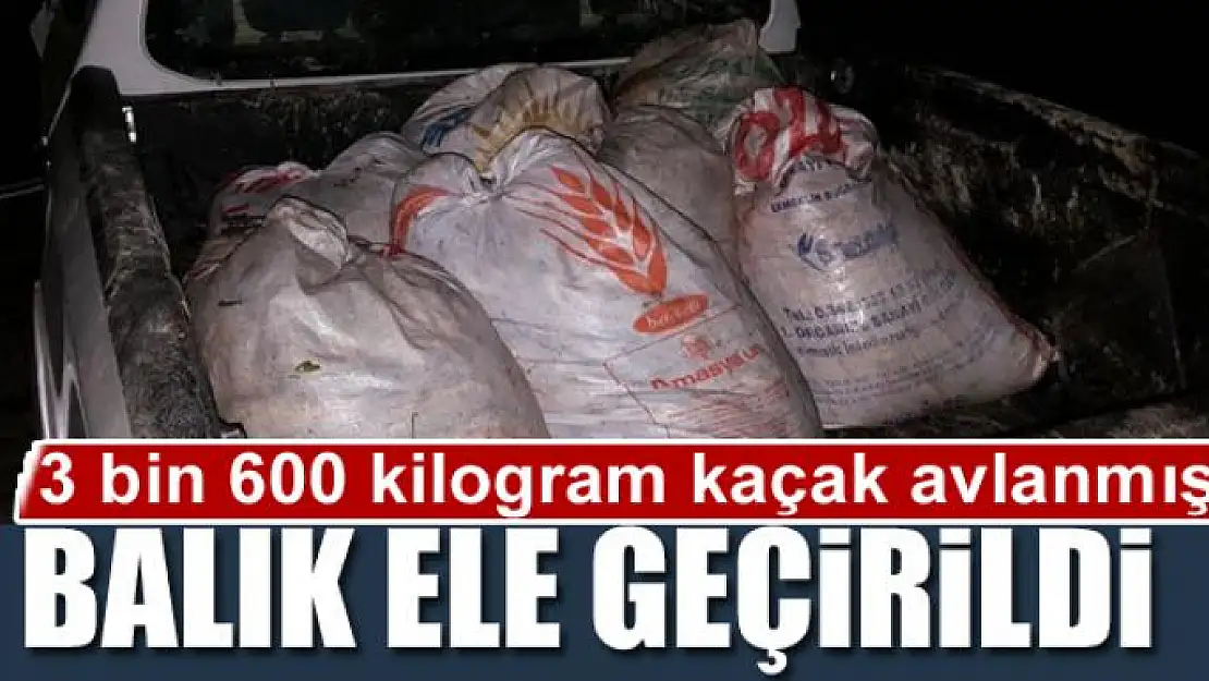 Van'da 3 bin 600 kilogram kaçak avlanmış balık ele geçirildi