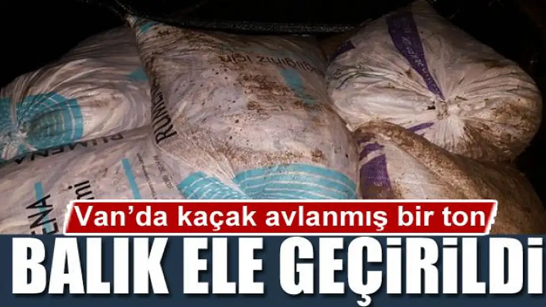 Van'da kaçak avlanmış bir ton balık ele geçirildi