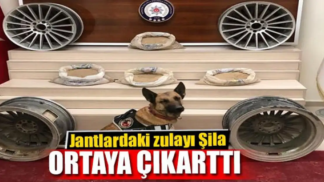 Jantlardaki zulayı Şila ortaya çıkarttı