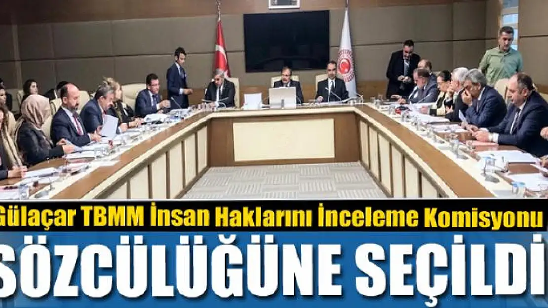 Gülaçar TBMM İnsan Haklarını İnceleme Komisyonu sözcülüğüne seçildi