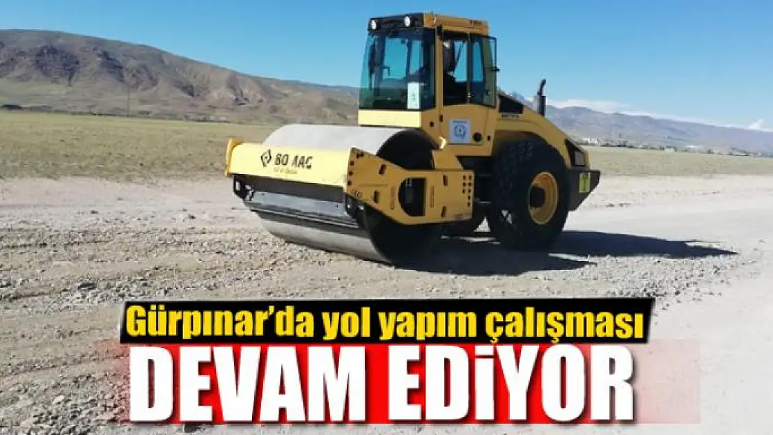 Gürpınar'da yol yapım çalışması