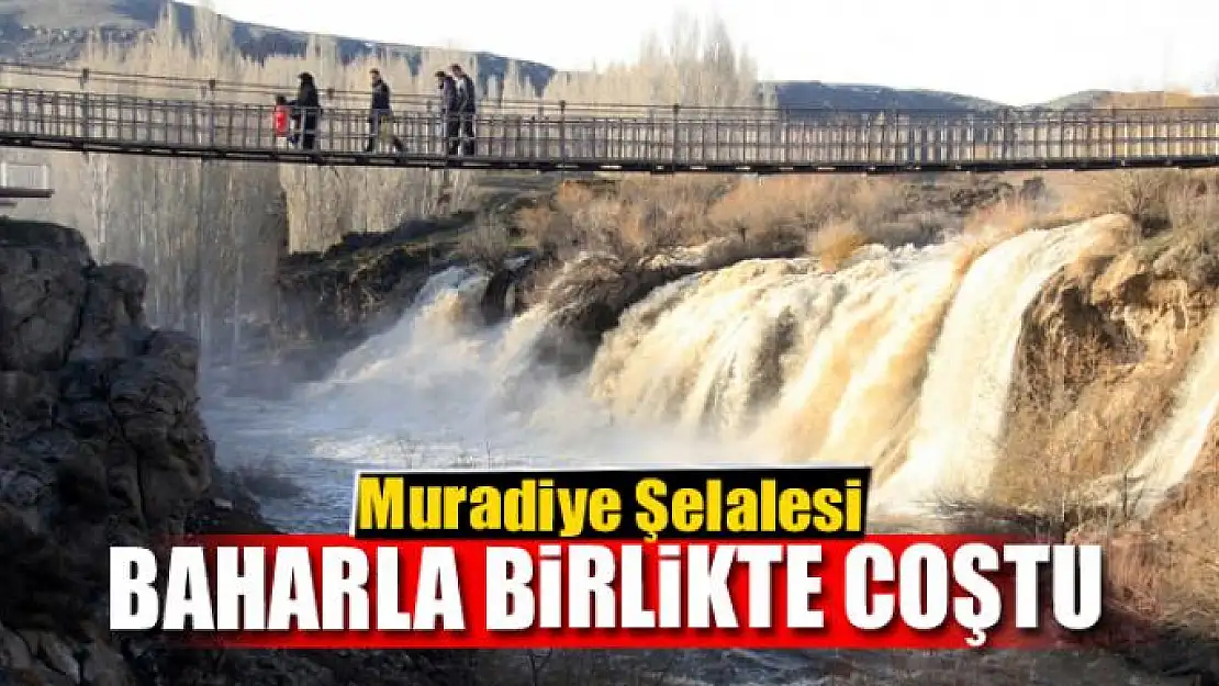 Muradiye Şelalesi baharla birlikte coştu