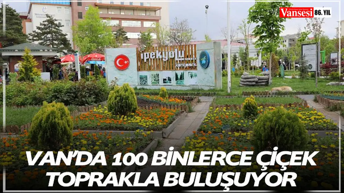 Van'da 100 binlerce çiçek toprakla buluşuyor