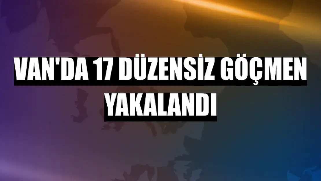 Van'da 17 düzensiz göçmen yakalandı