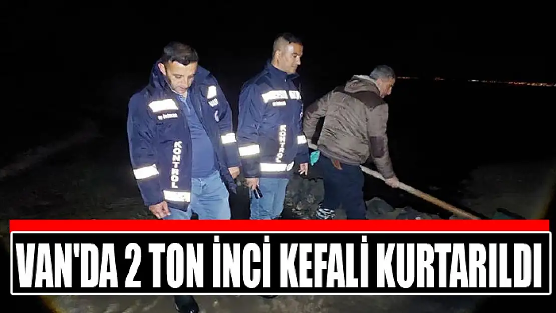 Van'da 2 ton inci kefali kurtarıldı