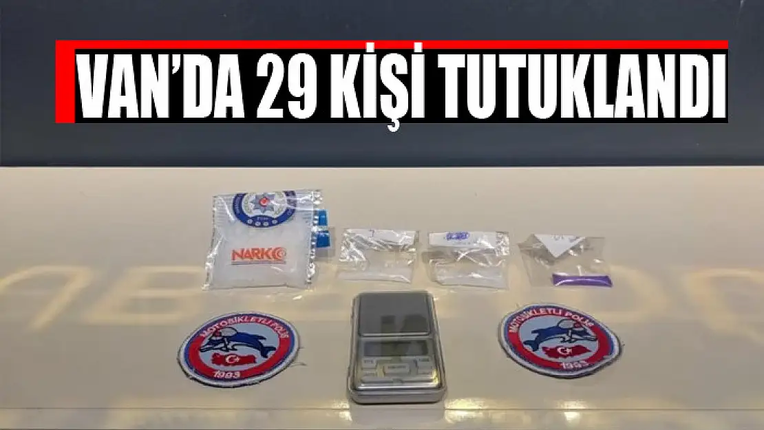 Van'da 29 kişi tutuklandı