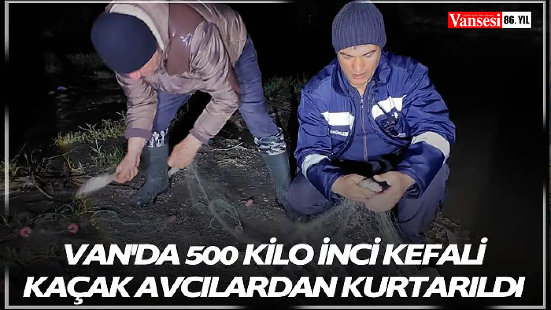 Van'da 500 kilo inci kefali kaçak avcılardan kurtarıldı