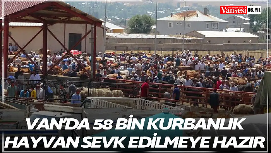 Van'da 58 bin kurbanlık hayvan sevk edilmeye hazır