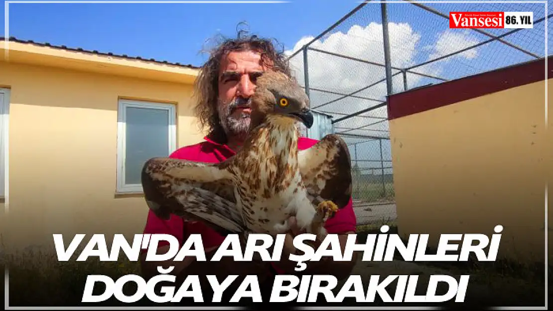 Van'da arı şahinleri doğaya bırakıldı