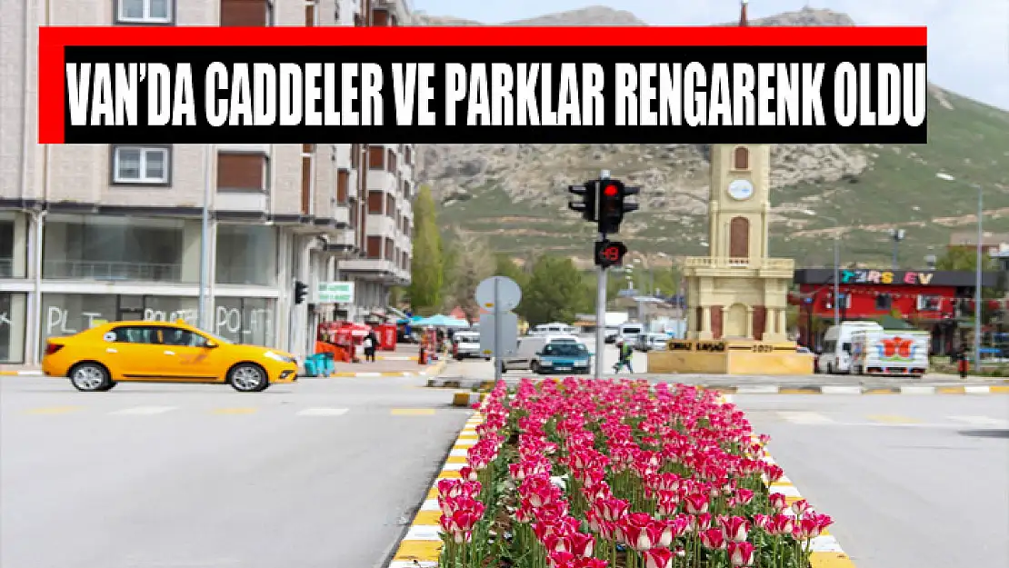 VAN'DA CADDELER VE PARKLAR RENGARENK OLDU