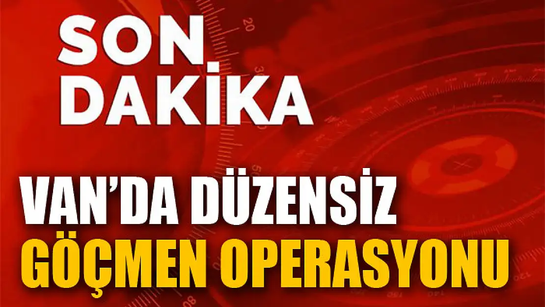 Van'da düzensiz göçmen operasyonu