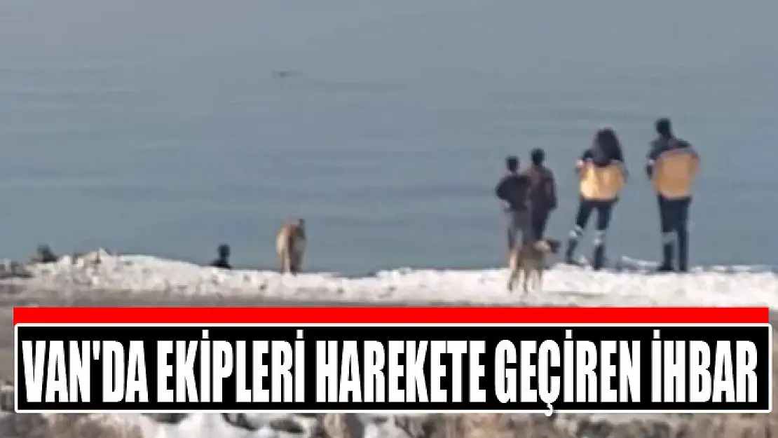 Van'da ekipleri harekete geçiren ihbar