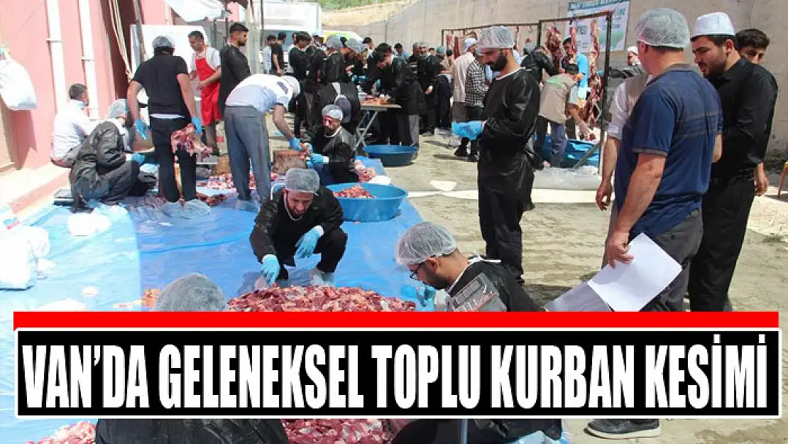 Van'da geleneksel toplu kurban kesimi