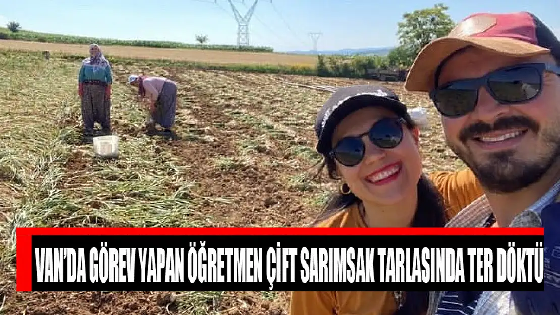 Van'da görev yapan öğretmen çift, sarımsak tarlasında ter döktü