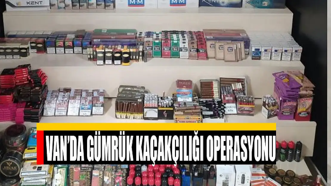 Van'da gümrük kaçakçılığı operasyonu