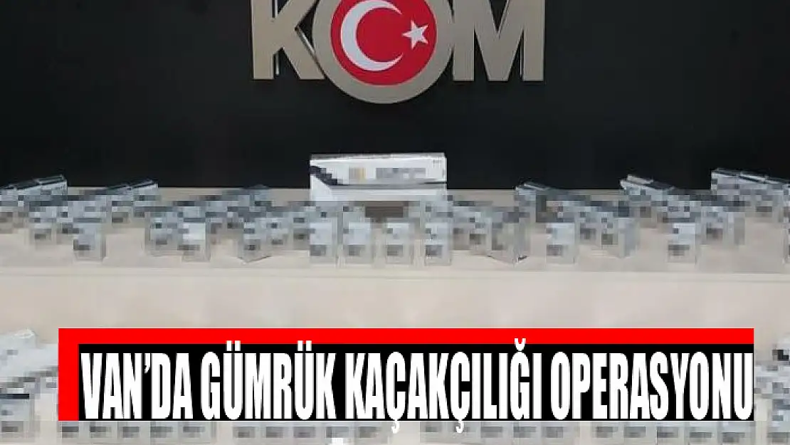 Van'da gümrük kaçakçılığı operasyonu