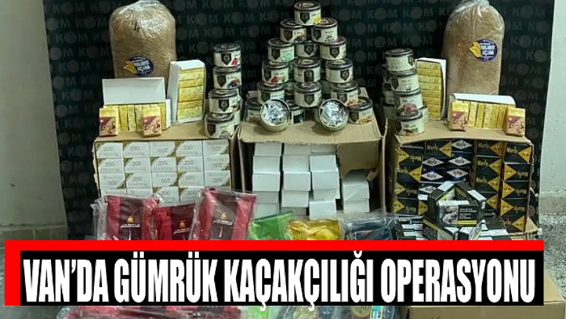 Van'da gümrük kaçakçılığı operasyonu