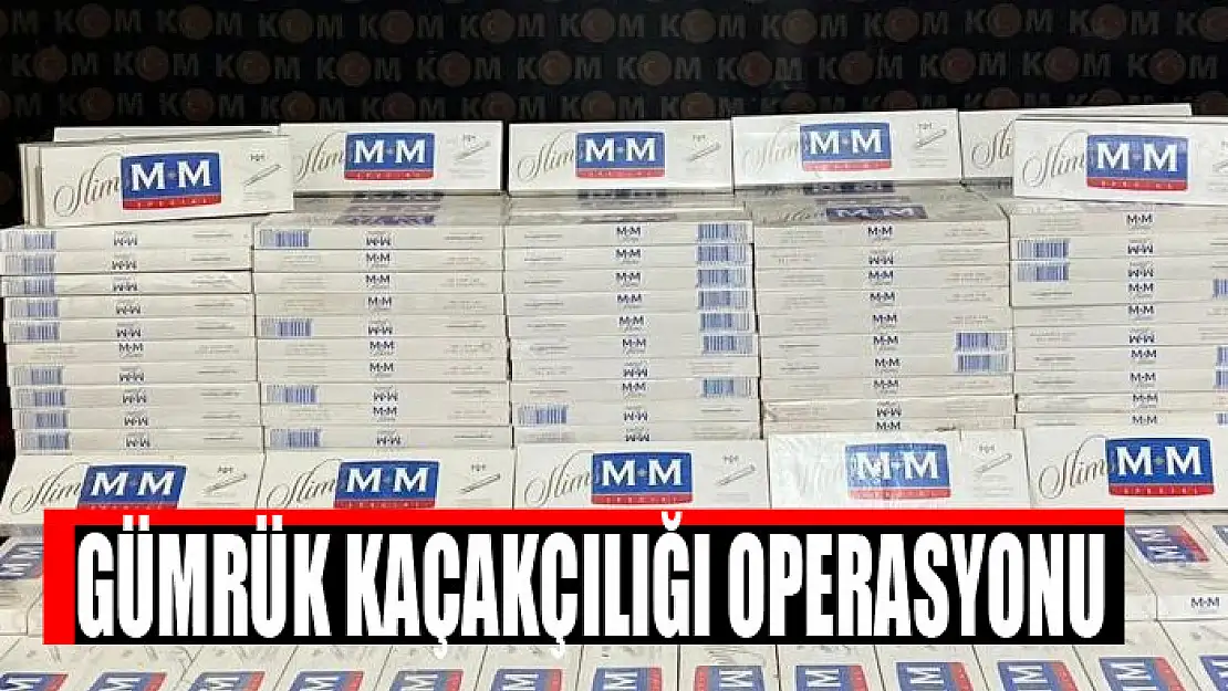 Van'da gümrük kaçakçılığı operasyonu