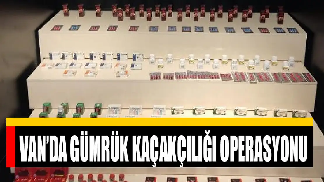 Van'da gümrük kaçakçılığı operasyonu