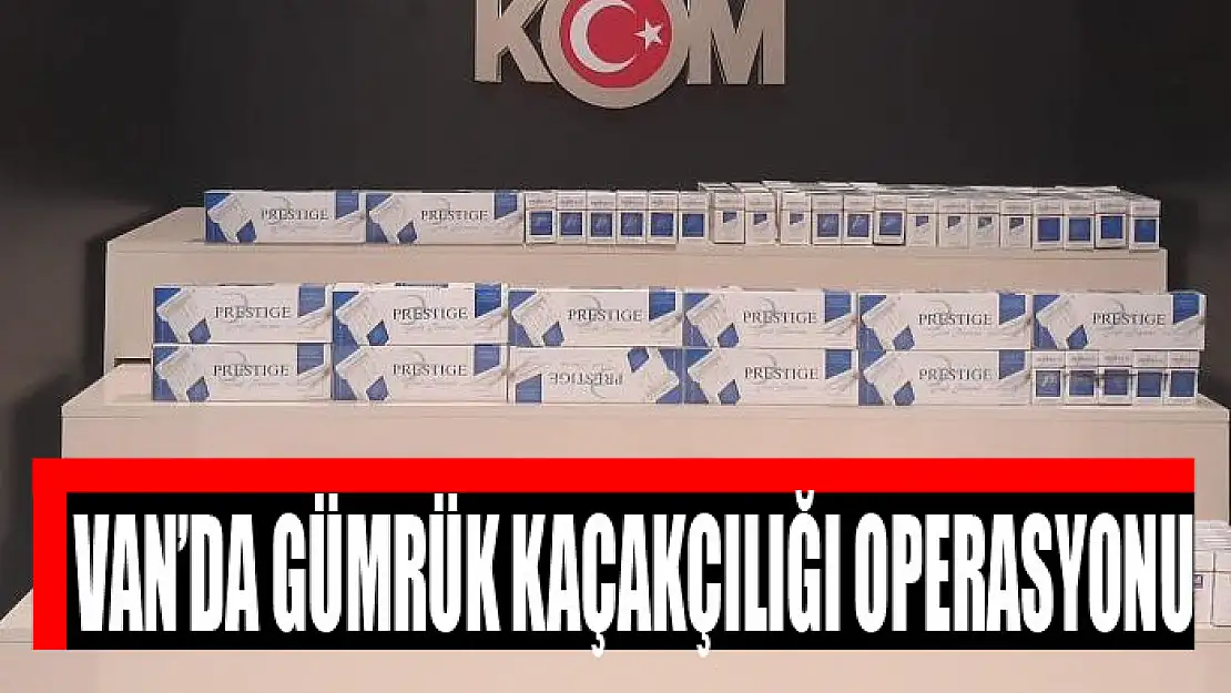 Van'da gümrük kaçakçılığı operasyonu