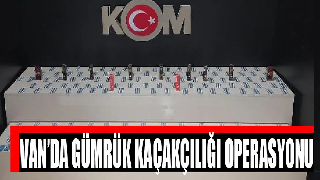 Van'da gümrük kaçakçılığı operasyonu