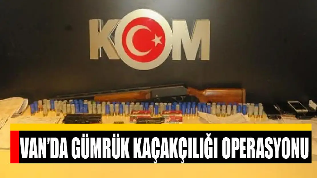 Van'da gümrük kaçakçılığı operasyonu