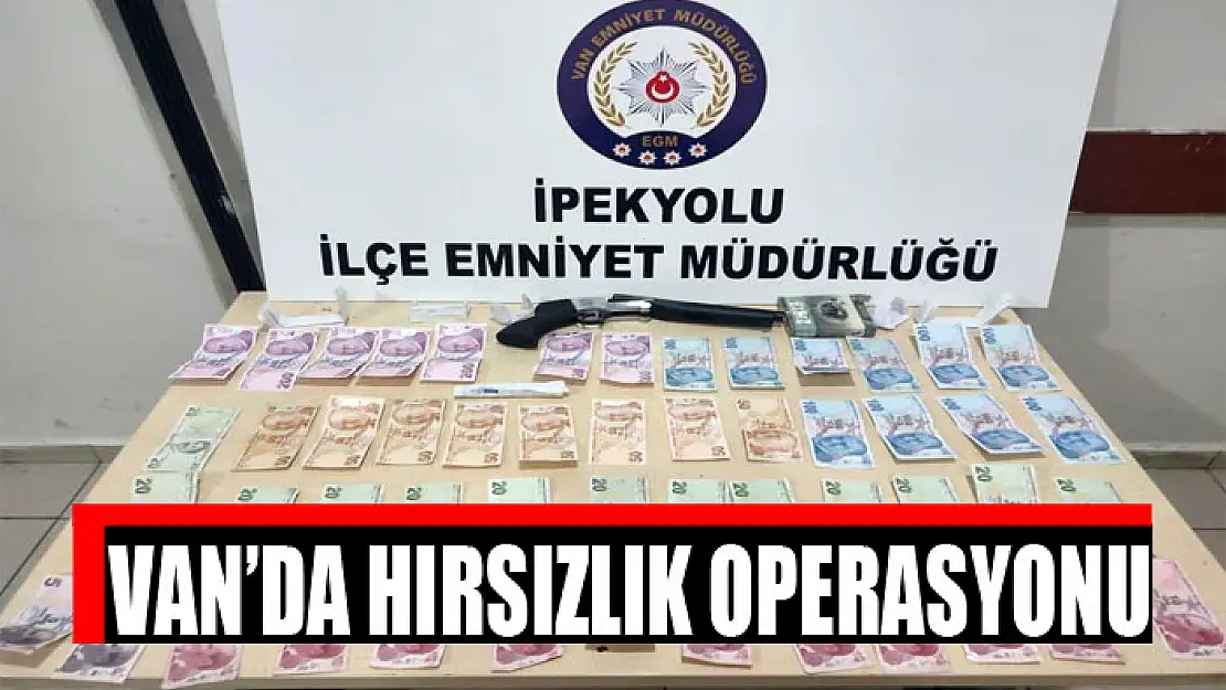 Van'da hırsızlık operasyonu