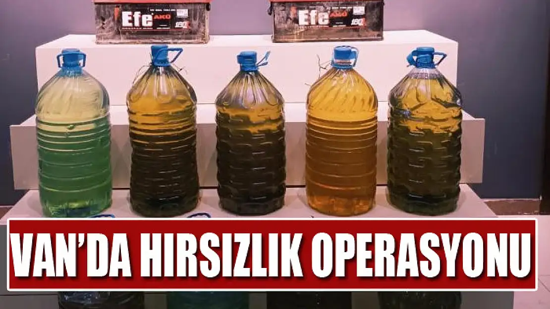 Van'da hırsızlık operasyonu