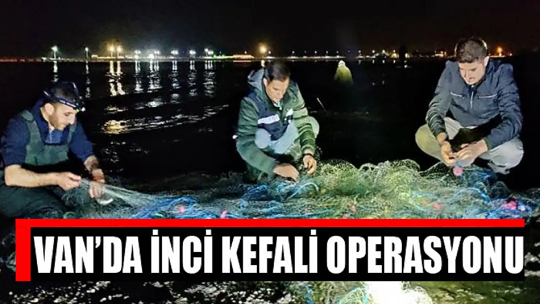 İnci kefali operasyonu