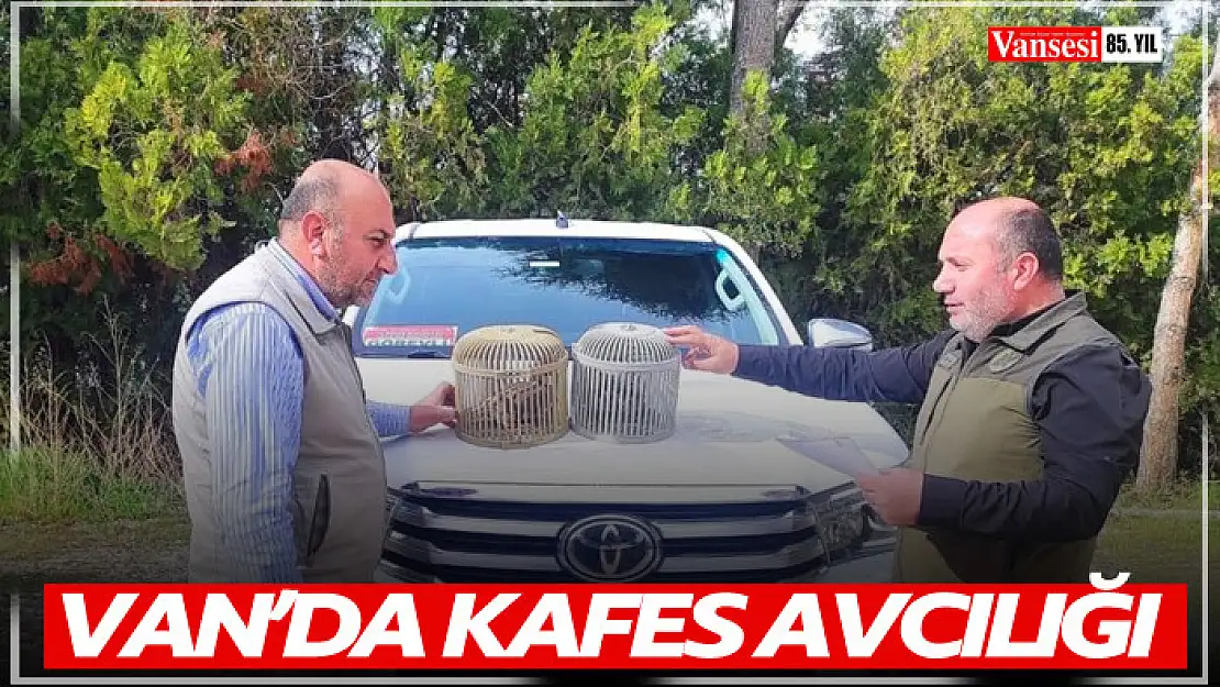 Van'da kafes avcılığı