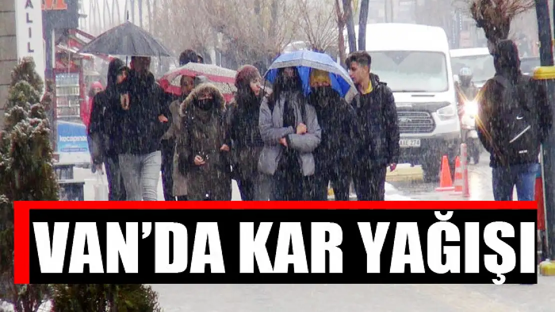 Van'da kar yağışı