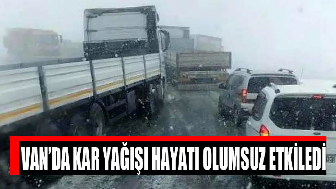 Van'da kar yağışı hayatı olumsuz etkiledi