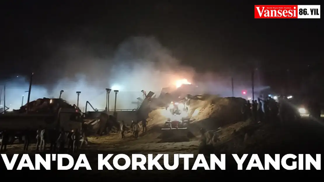 Van'da korkutan yangın