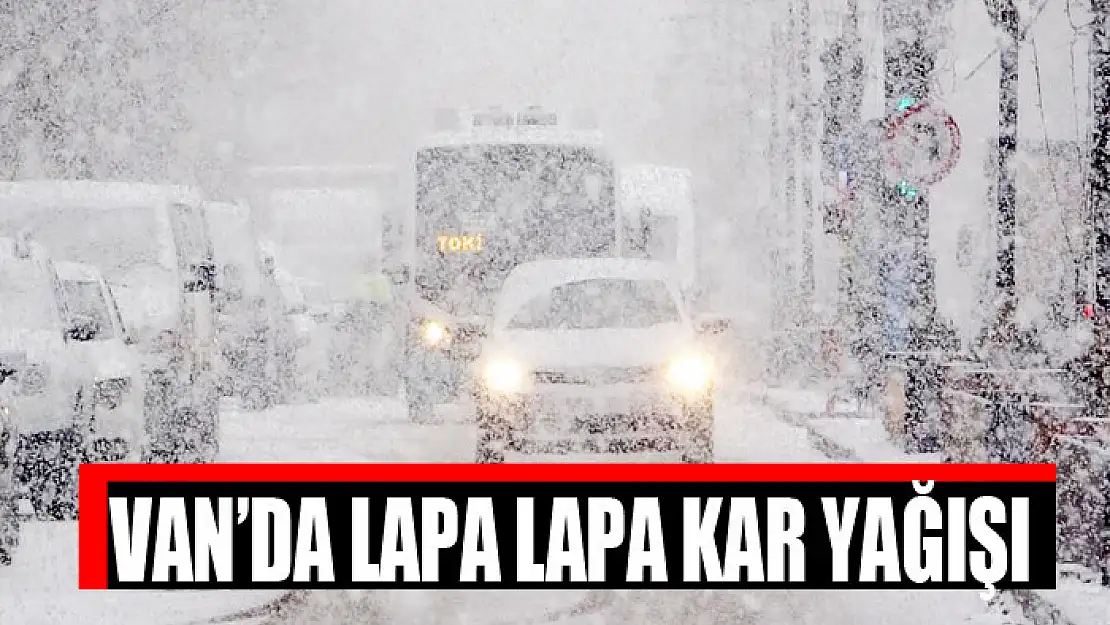 Van'da lapa lapa kar yağışı