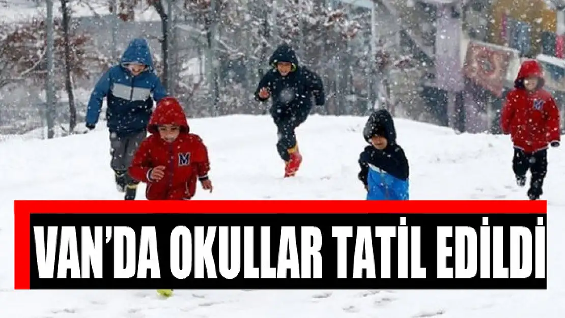 Van'da okullar tatil edildi