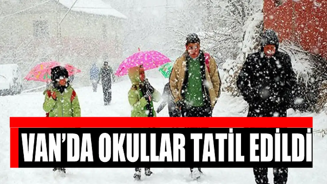 Van'da okullar tatil edildi