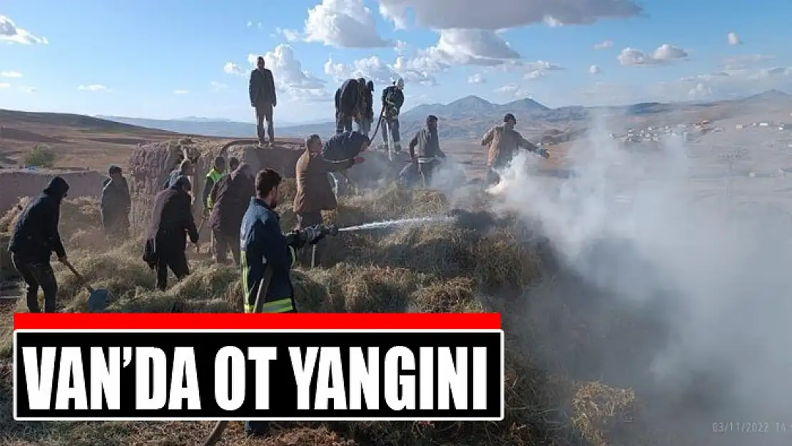 Van'da ot yangını