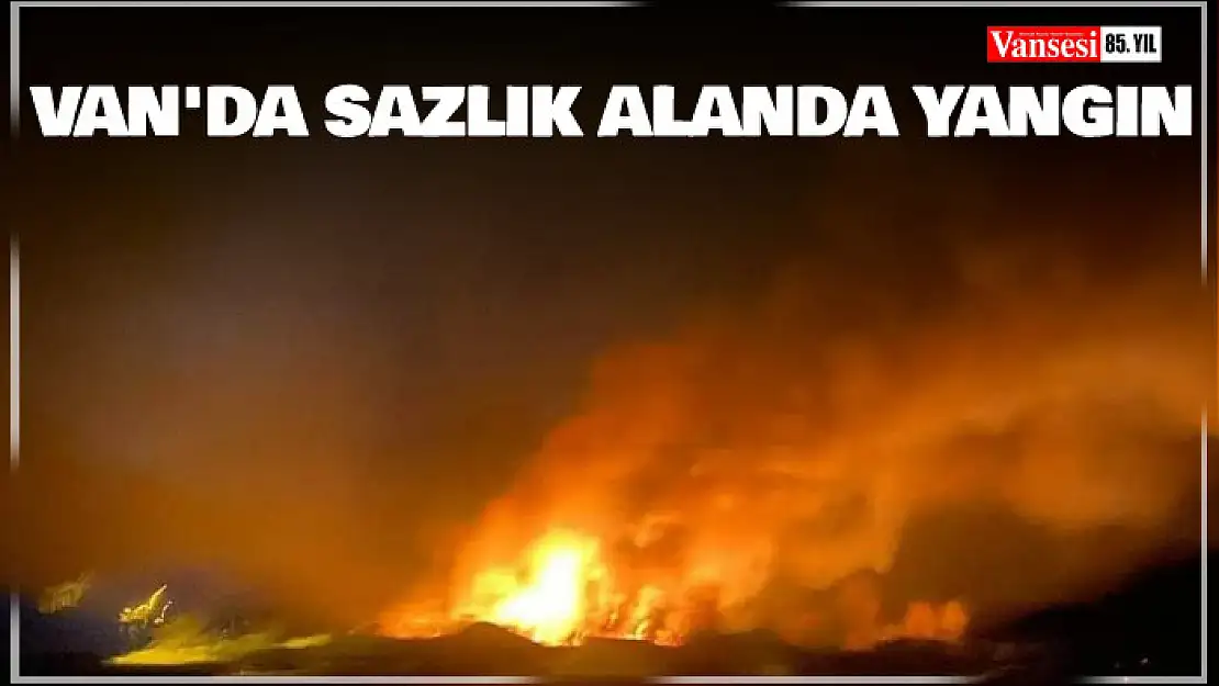 Van'da sazlık alanda yangın