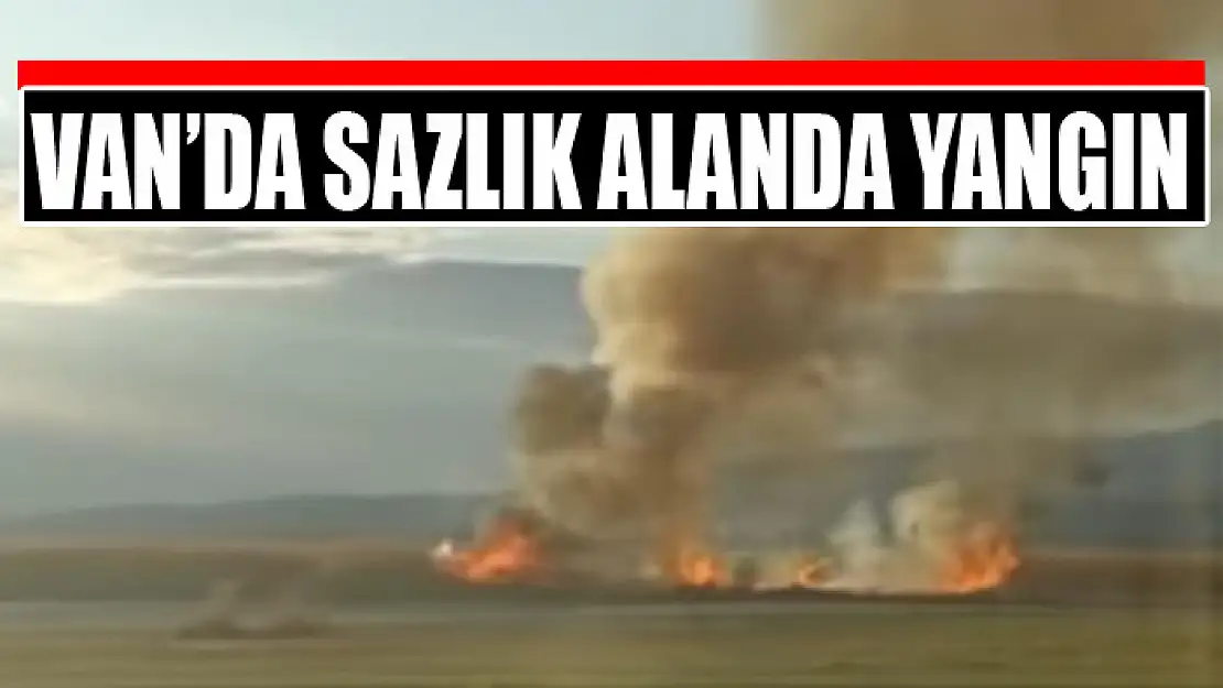 Van'da sazlık alanda yangın