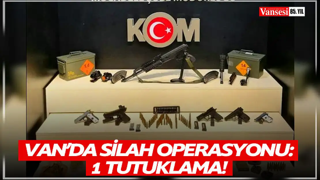 Van'da silah operasyonu: 1 tutuklama