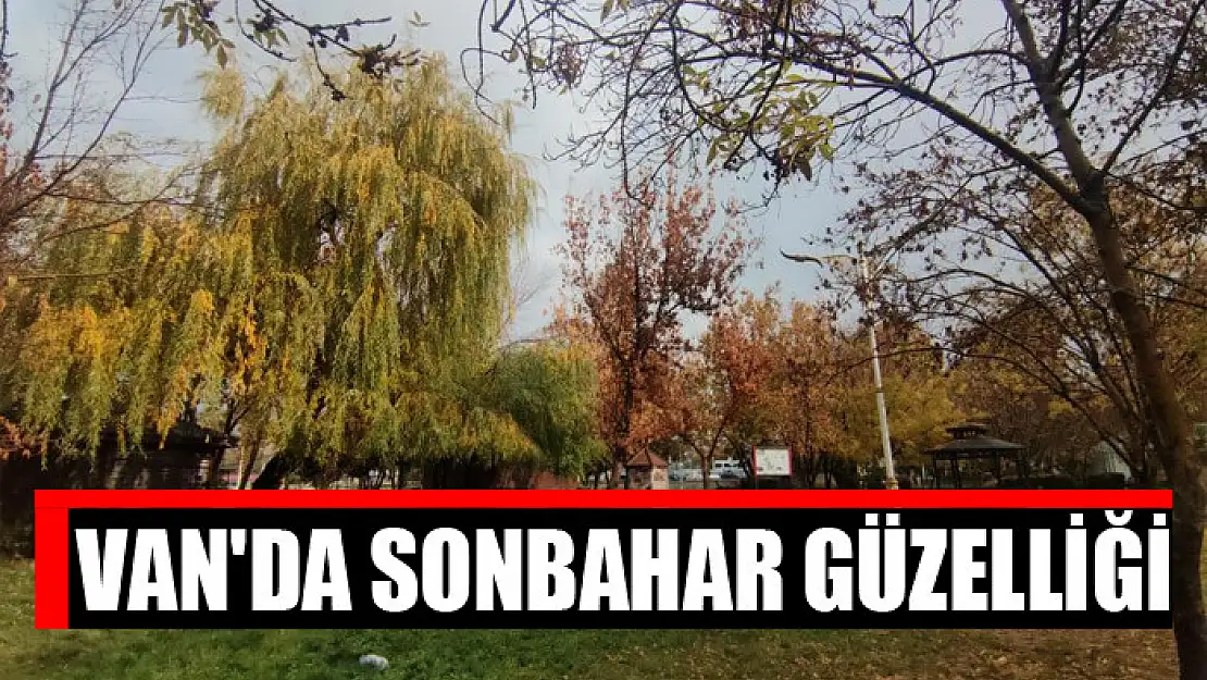 Van'da sonbahar güzelliği