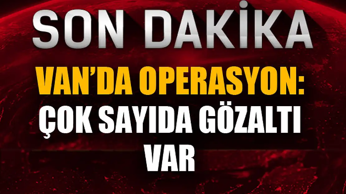 Van'da terör operasyonu: 24 gözaltı