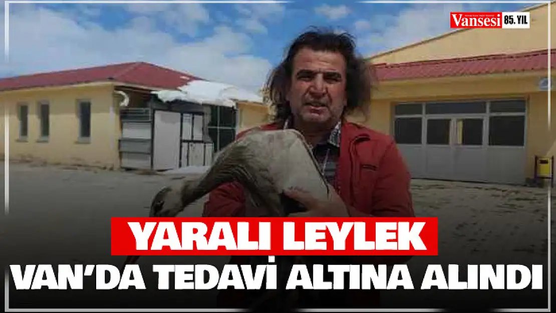 Van'da yaralı leylek tedavi altına alındı