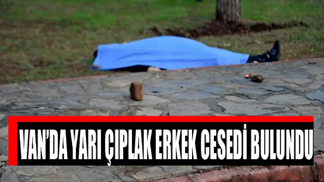 Van'da yarı çıplak erkek cesedi bulundu