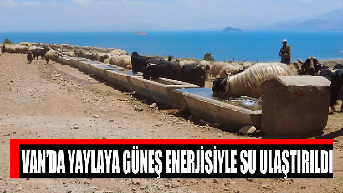 Van'da yaylaya güneş enerjisiyle su ulaştırıldı