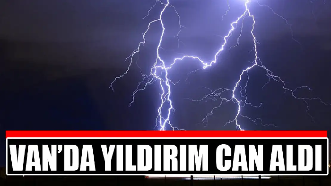 Van'da yıldırım can aldı